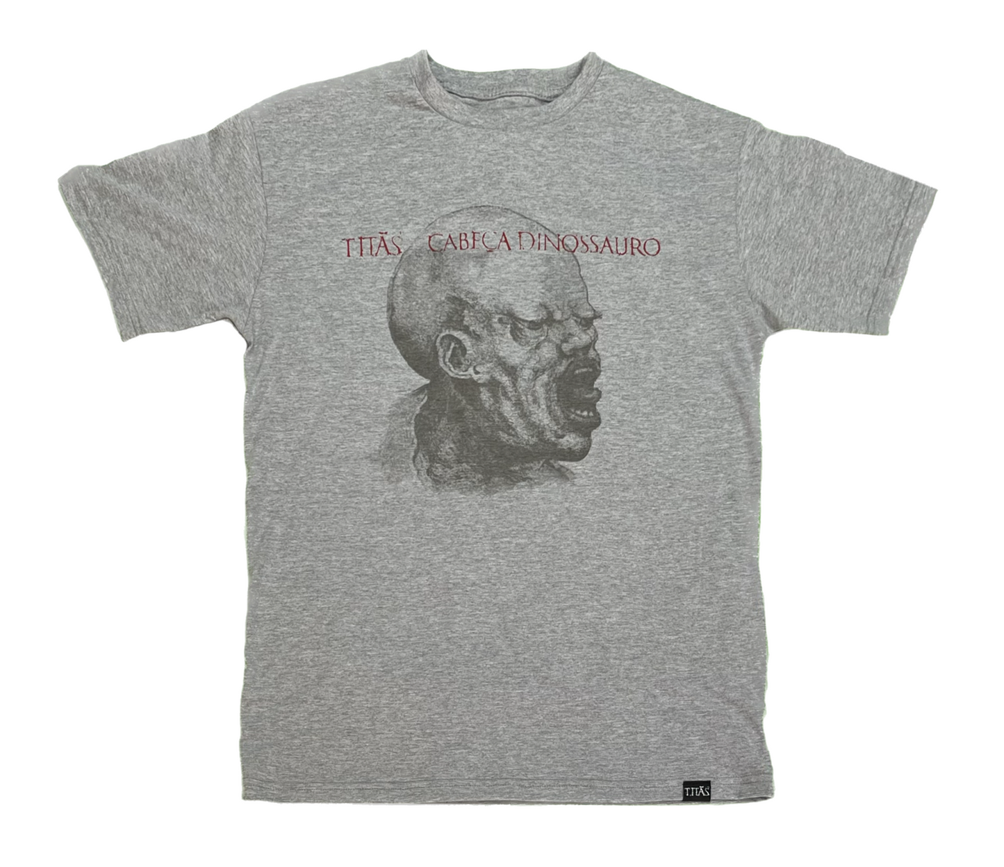 Camiseta Cabeça Dinossauro - Cinza