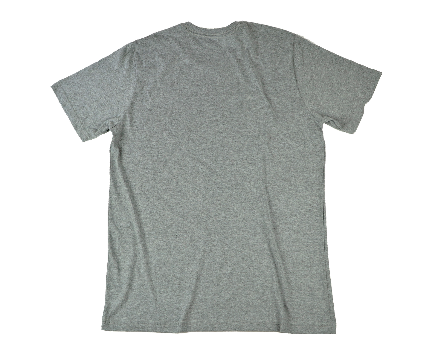 Camiseta Cabeça Dinossauro - Cinza